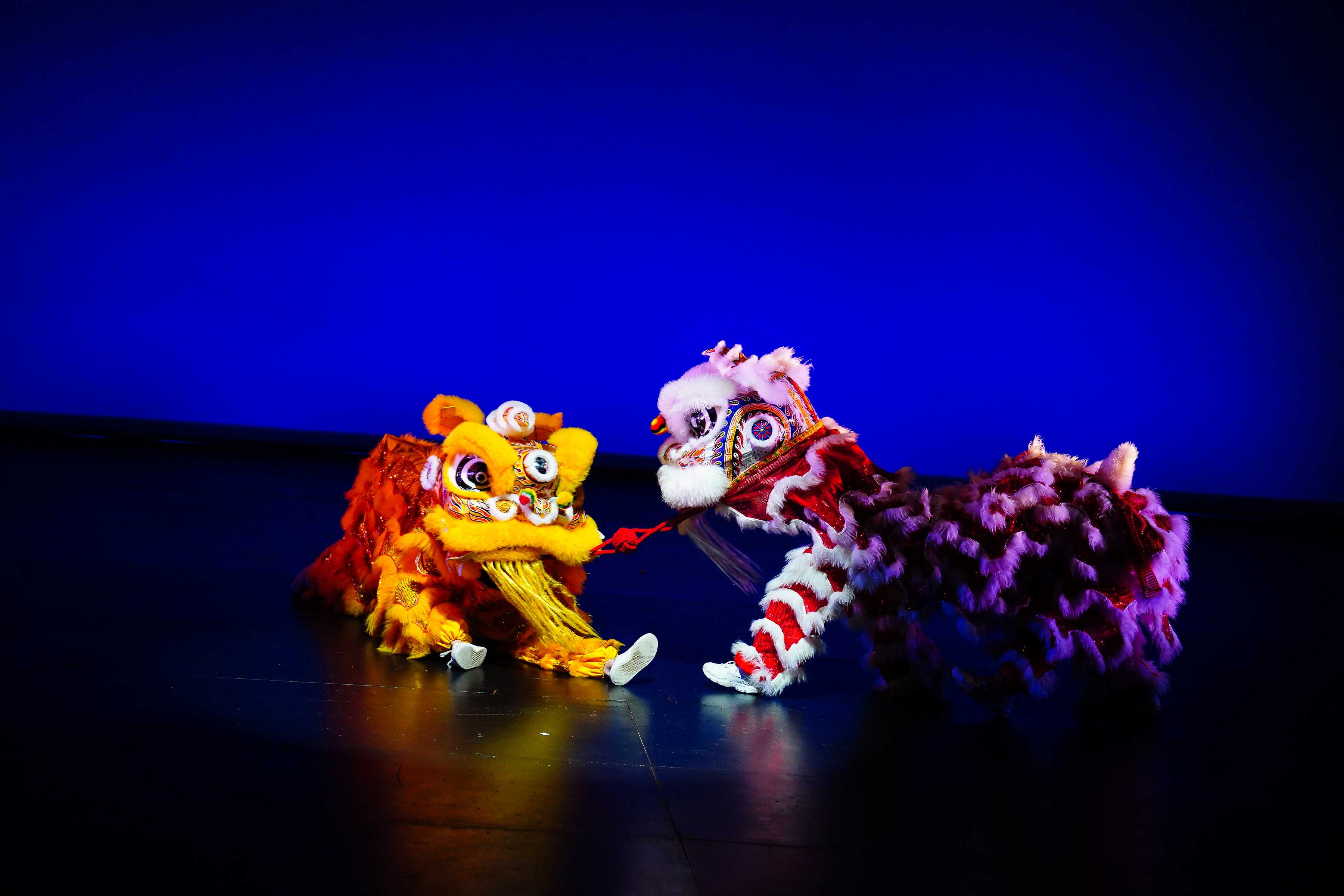 Lion Dance